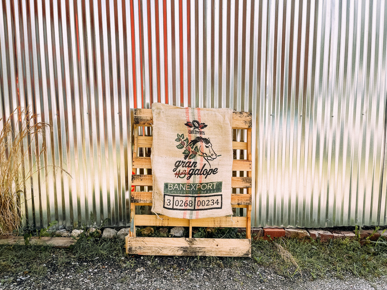 Ethiopia and Colombia Coffee Update